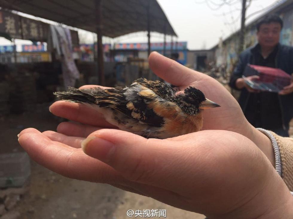 女足世界杯表现抢眼却无核心 刘英:盼有人站出来_MK电竞(图2) MK电竞